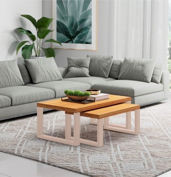 CONJUNTO DE MESAS INDUSTRIAL
